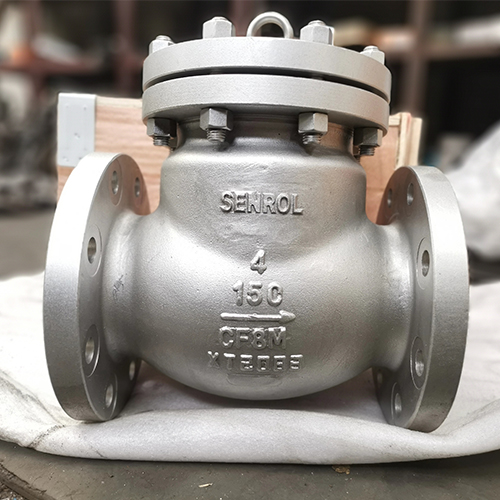 Check Valve 1