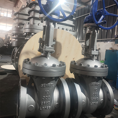Gate valve2